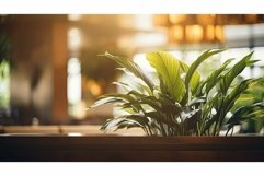 hotel blurred interior plant Product Image 1