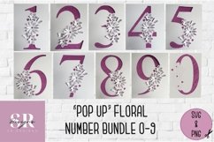 3D flower number bundle| Paper cutting | 3d number SVG Product Image 1