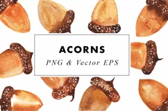 Watercolor Acorn Illustrations Clip Art in PNG & Vect Product Image 3