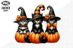 Halloween Cat And Pumpkin Sublimation - Clipart PNG Design Product Image 1
