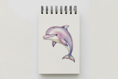 Cute Pink Dolphin Happy Marine Mammal Ocean PNG Summer Product Image 5