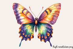Colorful Spring Butterfly Clipart PNG Product Image 1