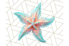 Coral and Aqua Summer Clipart PNG Pastel Tropical Icons Product Image 3