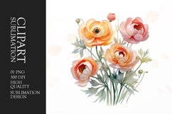 Watercolor ranunculus flower sublimation clipart Product Image 1