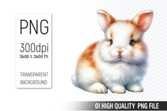 Cute Bunny Clipart PNG, Printable Animals, Wildlife Design Product Image 1