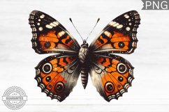 Halloween Butterfly Clipart - Halloween Sublimation PNG Product Image 1
