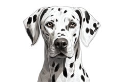 Dalmatian Dog Clipart | Watercolor Dog Clipart PNG Product Image 1