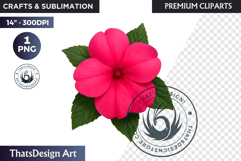 Flower Clipart PNG, Botanical Illustration Floral graphic Product Image 1
