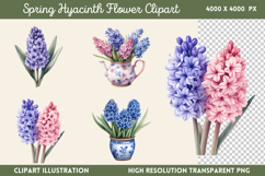 Spring Hyacinth Flower Clipart PNG Product Image 1
