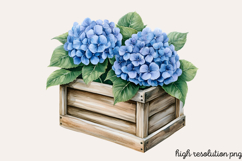 Spring Neutral Blue Clipart PNG Product Image 1