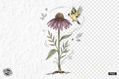 1920 Botanical Summer Wildflowers Clipart Product Image 1