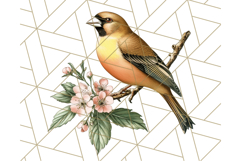 Vintage Song Bird Clipart PNG, Botanical Bird Art Clip Art Product Image 3