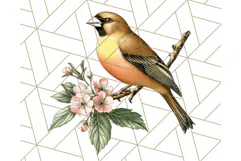 Vintage Song Bird Clipart PNG, Botanical Bird Art Clip Art Product Image 3