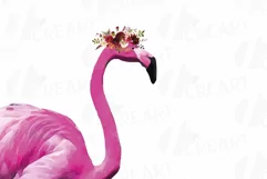Watercolor Floral Pink Flamingo clip art, boho clipart Product Image 2