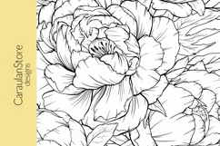 Floral Coloring Book Page, Peony Coloring Page, JPG, PDF Product Image 3