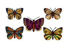 Botanical butterflies collection isolated white background Product Image 1