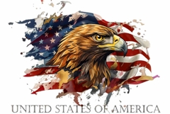 Bald Eagle Portrait Clipart Product Image 1