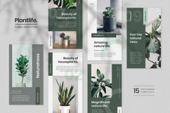Floral Instagram Stories Template Product Image 3