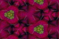 12 abstract Seamless colorful FLOWER patterns pack. Product Image 9