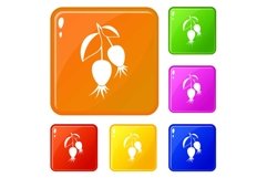 Dogrose berries branch icons set vector color Product Image 1