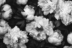 White Flowers Background Wallpaper Product Image 1