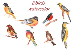 Watercolor birds Clip Art Product Image 1