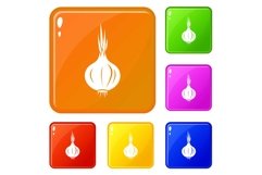 Onion icons set vector color Product Image 1
