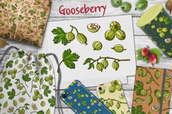 Gooseberry Product Image 1
