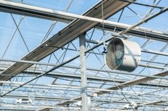 Glass roof with fan in modern greenhouse Product Image 1