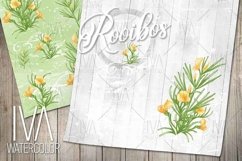 Flowers and herbs digital paper pack Product Image 4