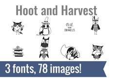 Hoot Dingbats Product Image 2