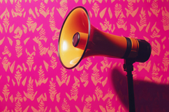 Megaphone with Pink Background Wallpaper Product Image 1
