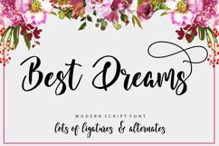 The Authentic Script Font Bundle Product Image 22
