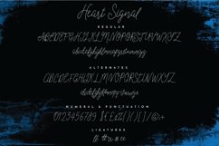 Web Font Heart Signal Typeface Product Image 3