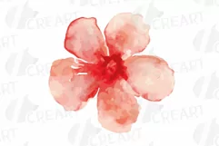 Burgundy and coral pink watercolor floral wedding clip art, Product Image 7