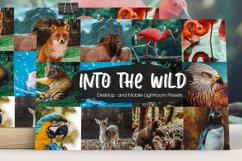 Into The Wild Lightroom Presets Product Image 1