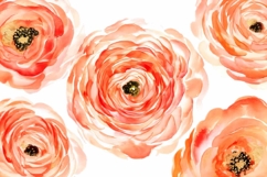 Watercolor peony bouquet Product Image 1