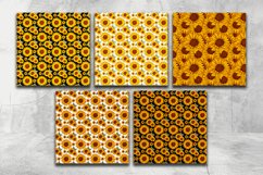 Sunflower set, DIGITAL PAPER collection JPG Product Image 3