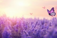 Morning Scene Background Wallpaper Product Image 1