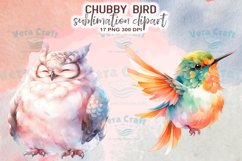 Chubby Bird Watercolor Sublimation Clipart Product Image 4
