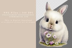 Bunny clipart, Easter clipart, Watercolor clipart Product Image 2