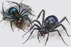 Spider clipart, Halloween sublimation, Goth clipart Product Image 3