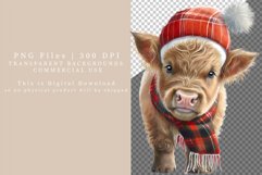 Highland calf sublimation, Christmas clipart, Cow clipart Product Image 2