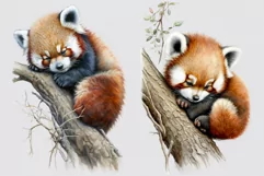 Red panda clipart, Animals clipart, Watercolor clipart Product Image 3