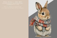 Christmas bunny clipart, Bunny sublimation, Sublimation Product Image 2