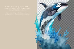 Killer whale clipart, Animals clipart, Watercolor clipart Product Image 2