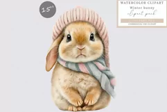 Baby bunny clipart, Winter clipart, Christmas clipart Product Image 1