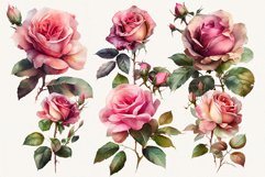 Single rose clipart, Rustic roses clipart, Watercolor roses Product Image 3