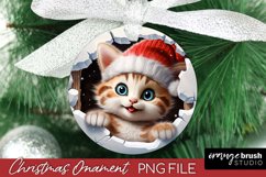 3D Christmas Ornament Sublimation, Break Wall Cat Design