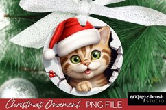 3D Christmas Ornament Sublimation, Funny Cat Ornament Design